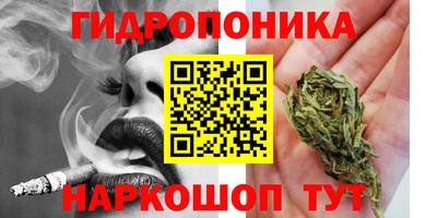 кокс Будённовск