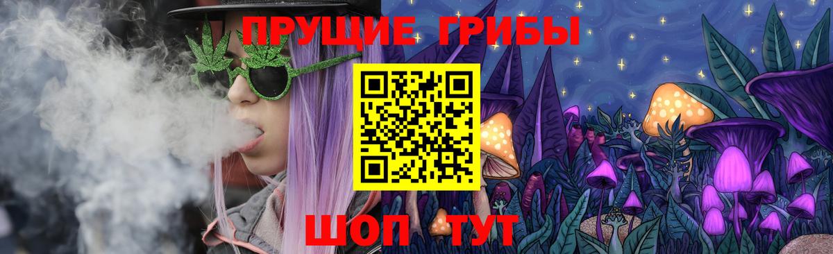 Псилоцибиновые грибы мицелий Партизанск