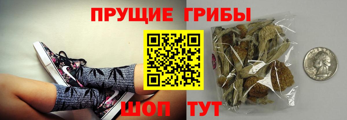 Галлюциногенные грибы Cubensis  Вход с VPN  Партизанск 